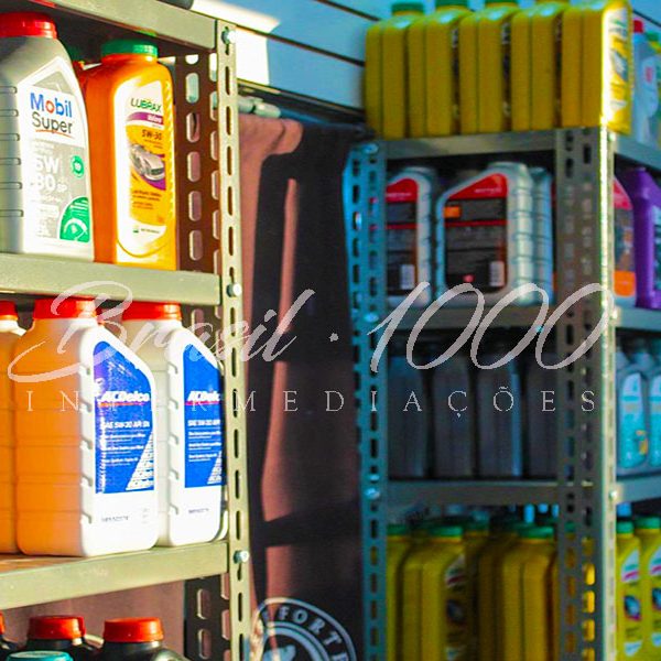 Auto Peças em São Miguel Pta., SP3